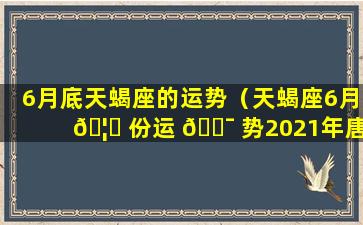 6月底天蝎座的运势（天蝎座6月 🦈 份运 🐯 势2021年唐立淇）